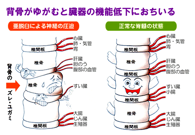金沢市の西金沢・御経塚での肩こり・腰痛・首の痛みや猫背改善なら金沢カイロプラクティック結